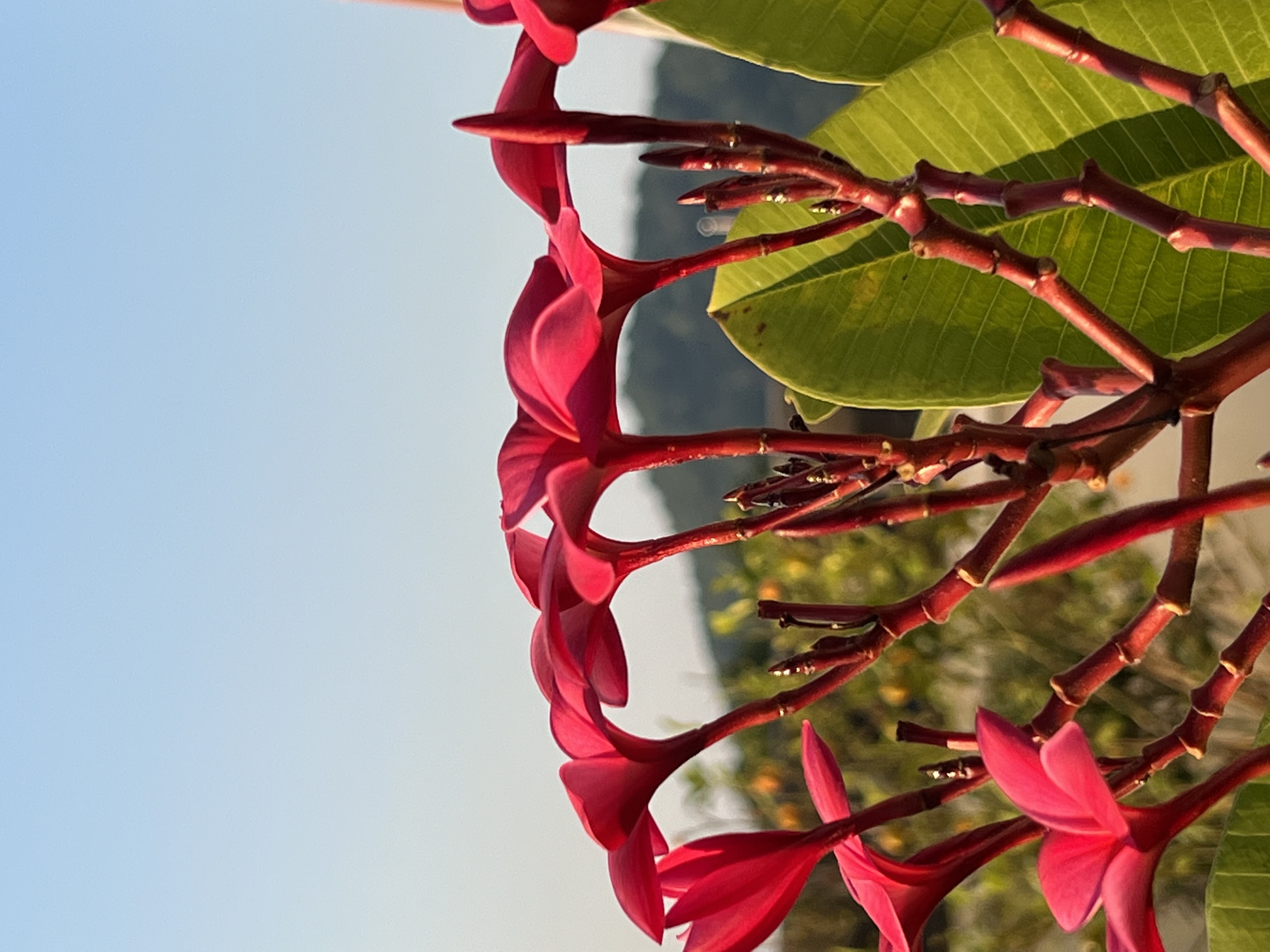 iphone13promax和iphone13pro,iphone13promax现在值得购买吗