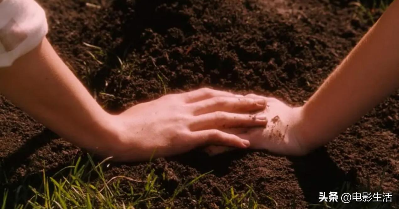 情人节必看片单，部部经典，又甜又好哭！