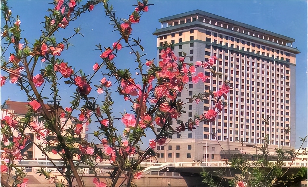 天津海滨区老照片,天津旧景照片