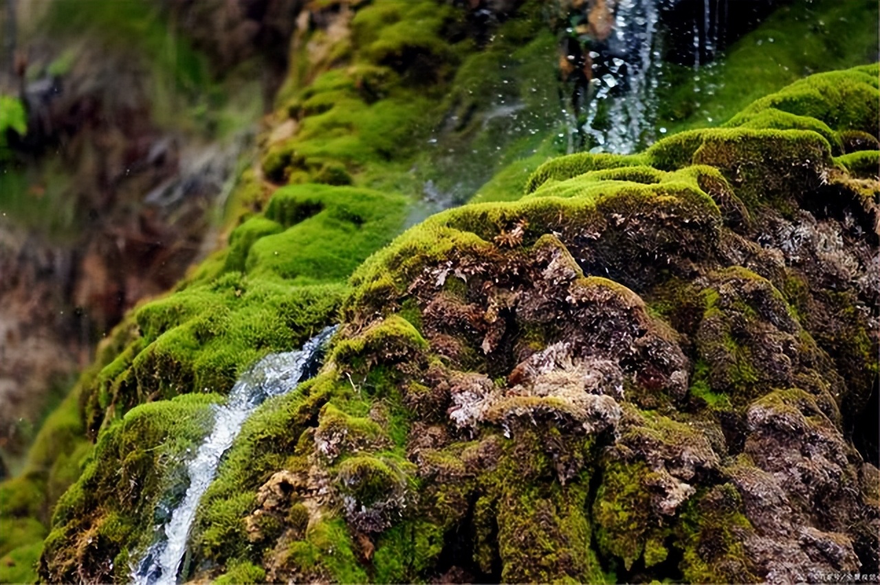 疫情早安心语正能量励志,销售励志早安心语正能量句子