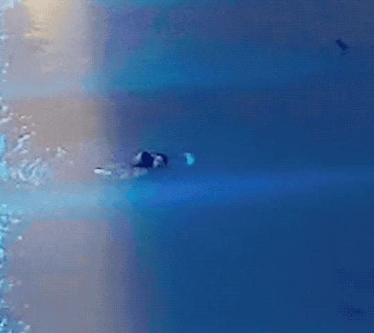 化学老师跳下高桥救人后续来了,教师跳下10余米高桥救人后续