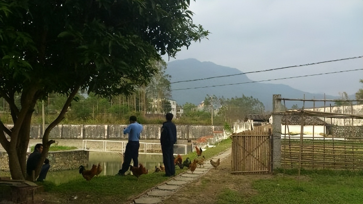 公务员报考海关必选政治吗,海关公务员报考条件专业