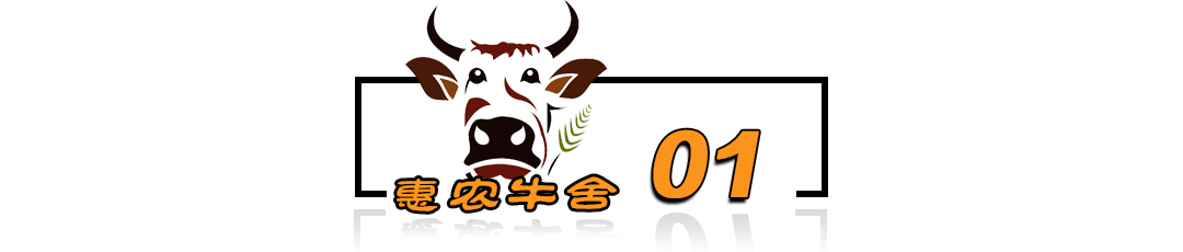 冬季蛋鸡饲养管理需要注意些什么,海兰褐商品代蛋鸡饲养管理手册