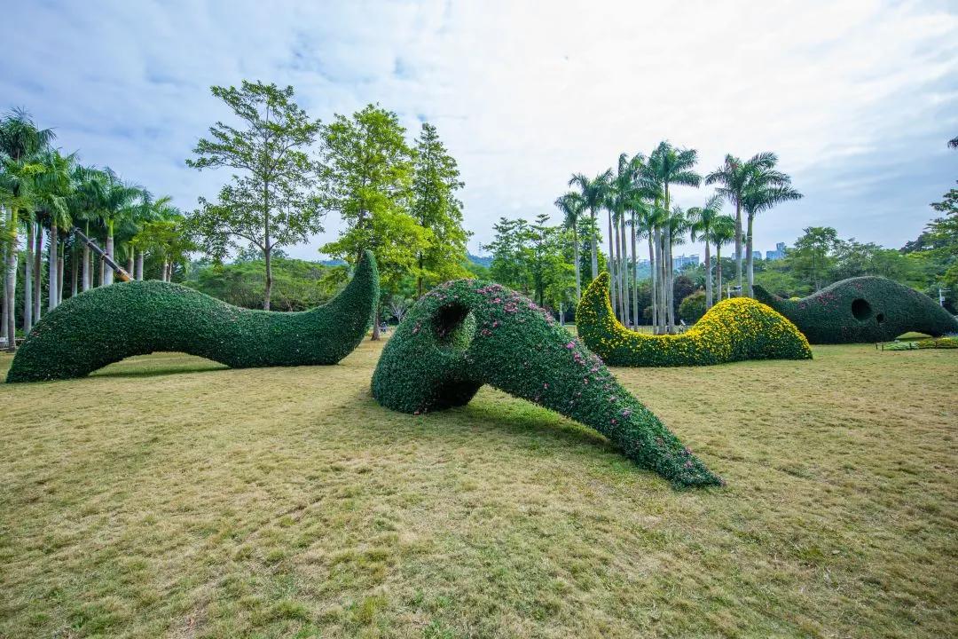 66万盆菊花东湖公园菊花展,东湖公园菊花展有哪些菊花