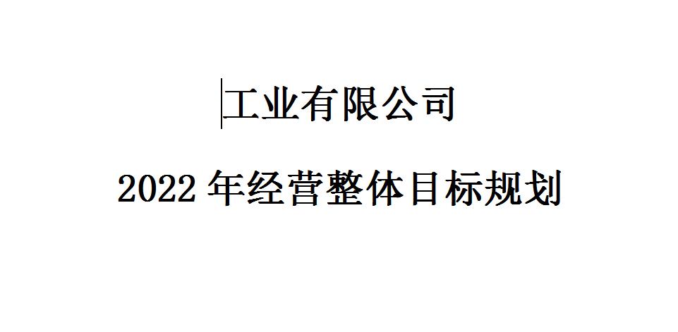 公司2022年经营整体目标规划（个人编写干货模板）