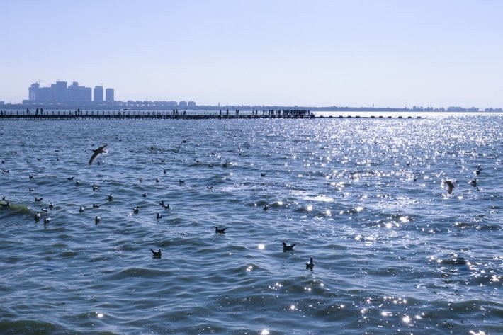 云南旅游攻略路线详细介绍,在云南旅游攻略详细路线推荐图