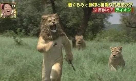 日本化痰止咳糖浆推荐,急支糖浆的效果