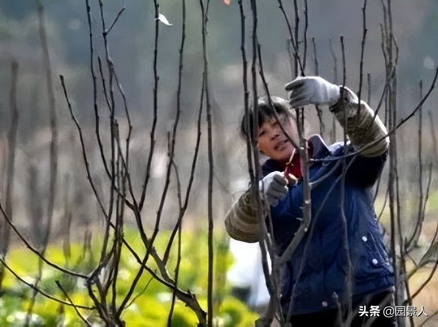 标杆房企园林景观工序,最新热销地产项目景观设计全解密