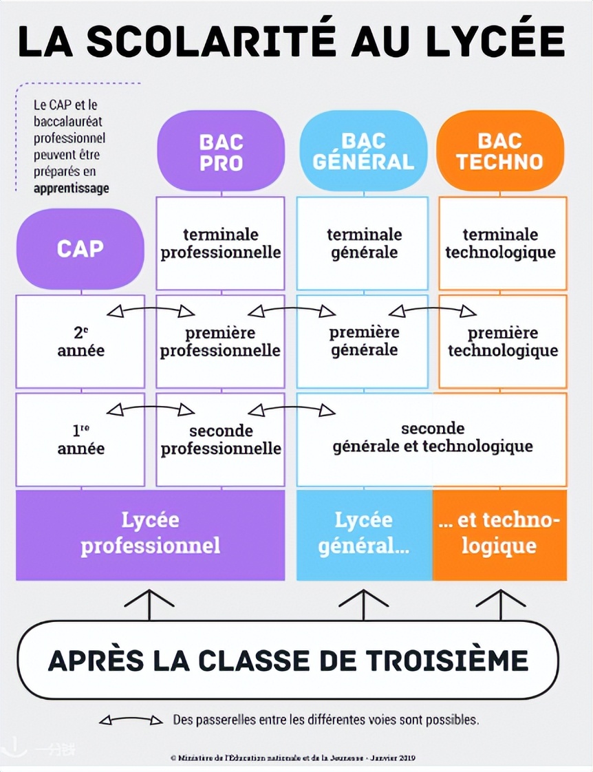 中法教育差异,中法高等教育体系对比
