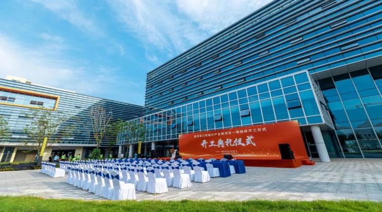 口腔正畸托槽带量采购,口腔正畸集采2024