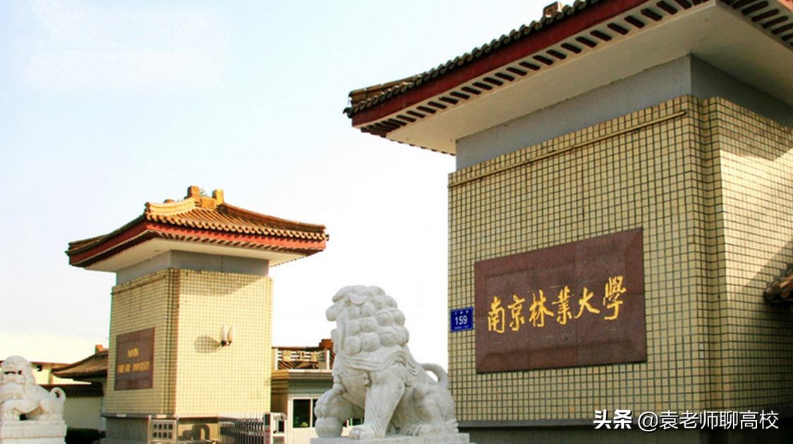 南京林业大学是211还是985呢,南京林业大学是985还是211大学