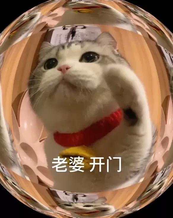 可爱搞笑的表情包：宝，给你我的小熊饼干