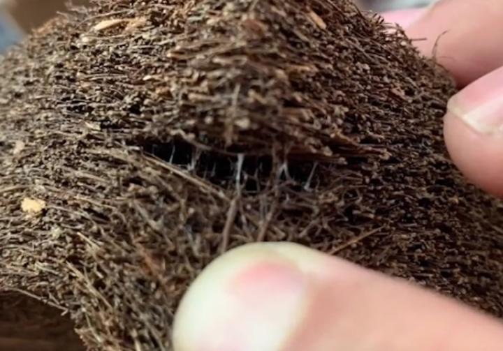 热门学生床垫推荐哪款？儿童床垫哪个牌子好？