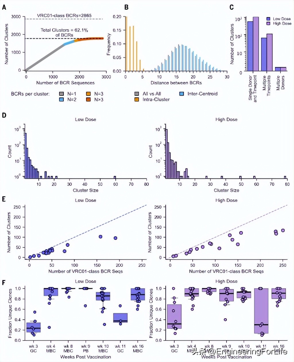 最新艾滋病疫苗研发,全球最新艾滋病疫苗