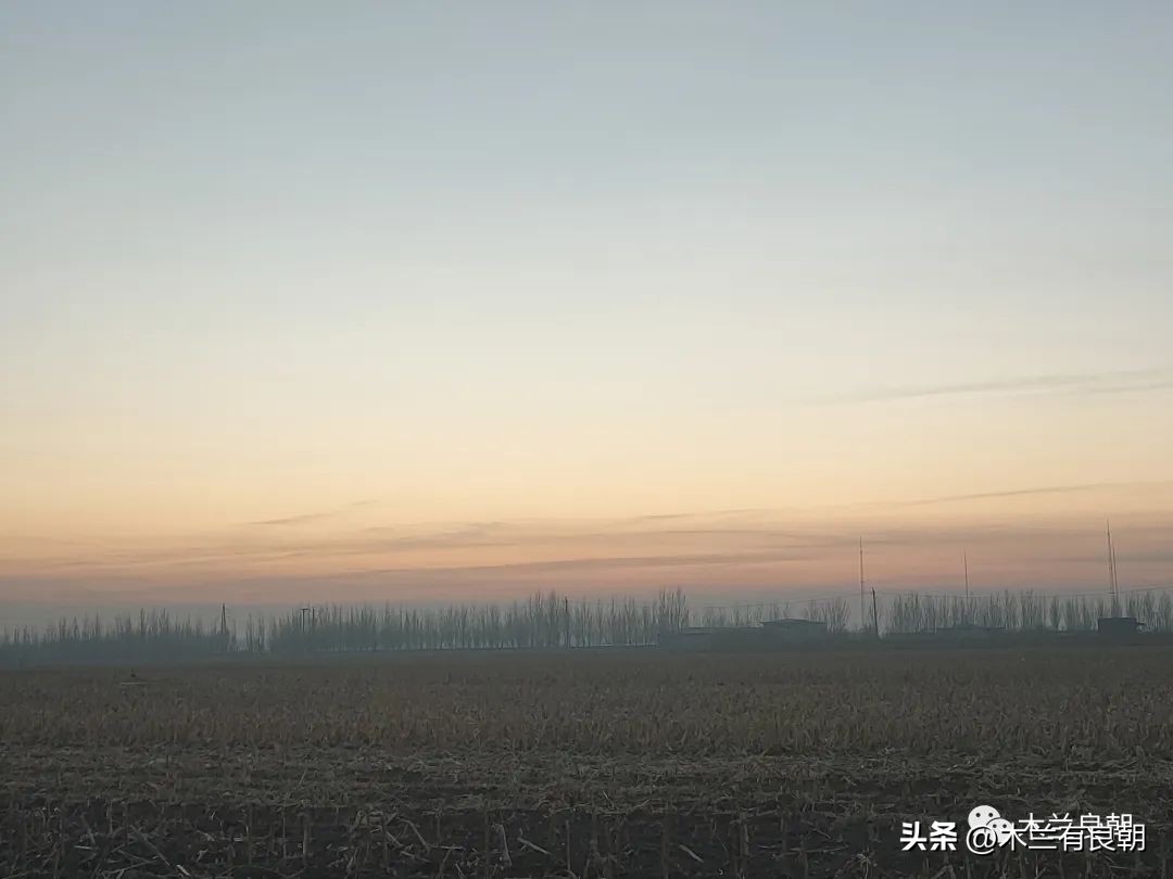 白城子官银号往事6:真优美