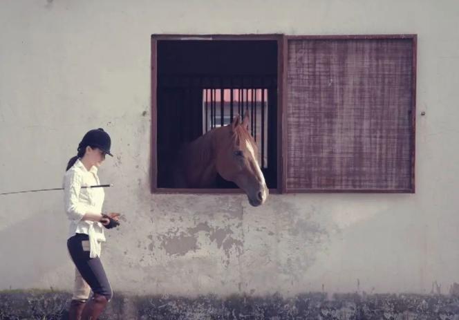 咏梅王菲栾树合影,栾树到底爱王菲还是咏梅