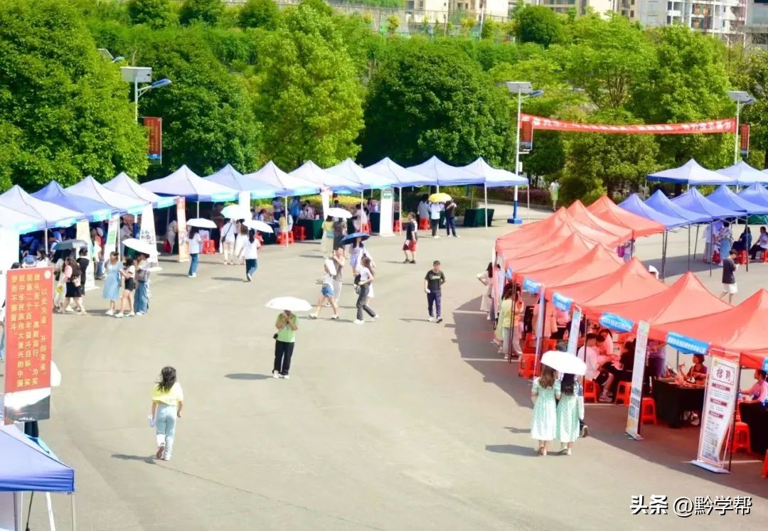 多措并举深耕人才培养沃土,多措并举打造人才发展新高地