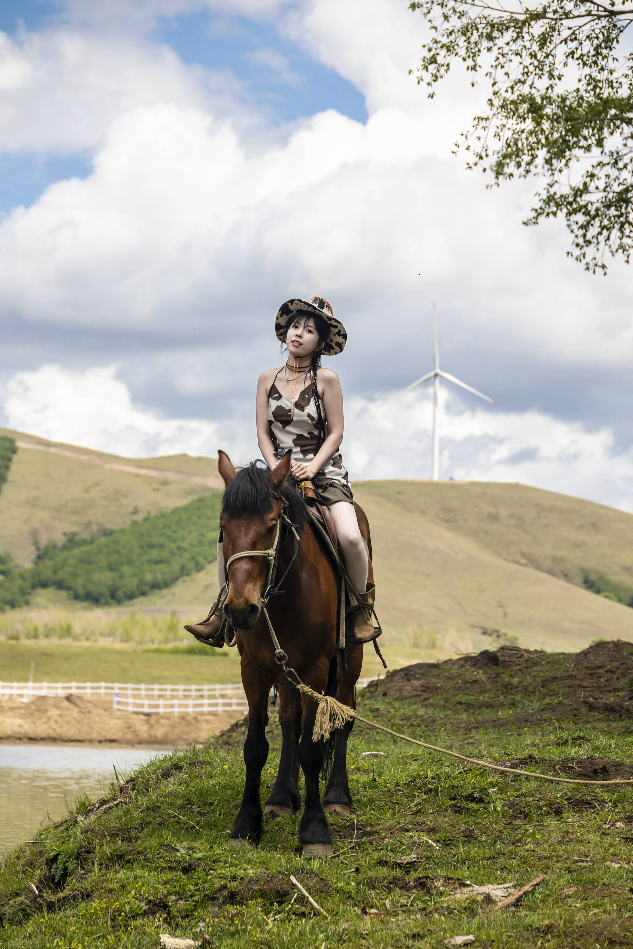 丰宁坝上草原的夏天,丰宁坝上草原夏天景色