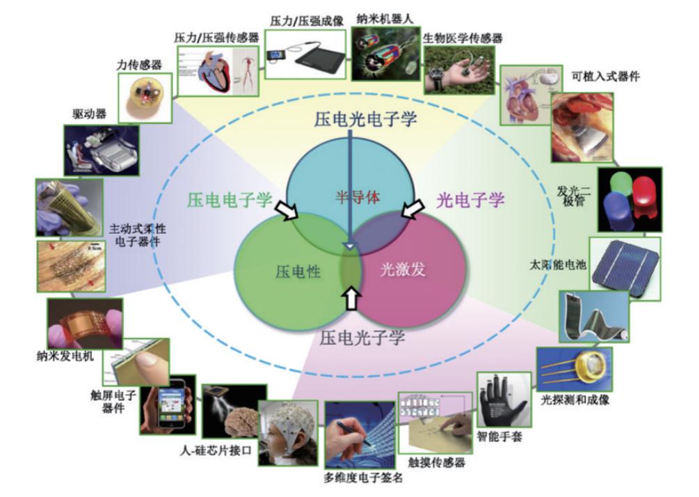 王中林院士：压电电子学效应及纳米发电机带来能源与传感新革命|科技导报