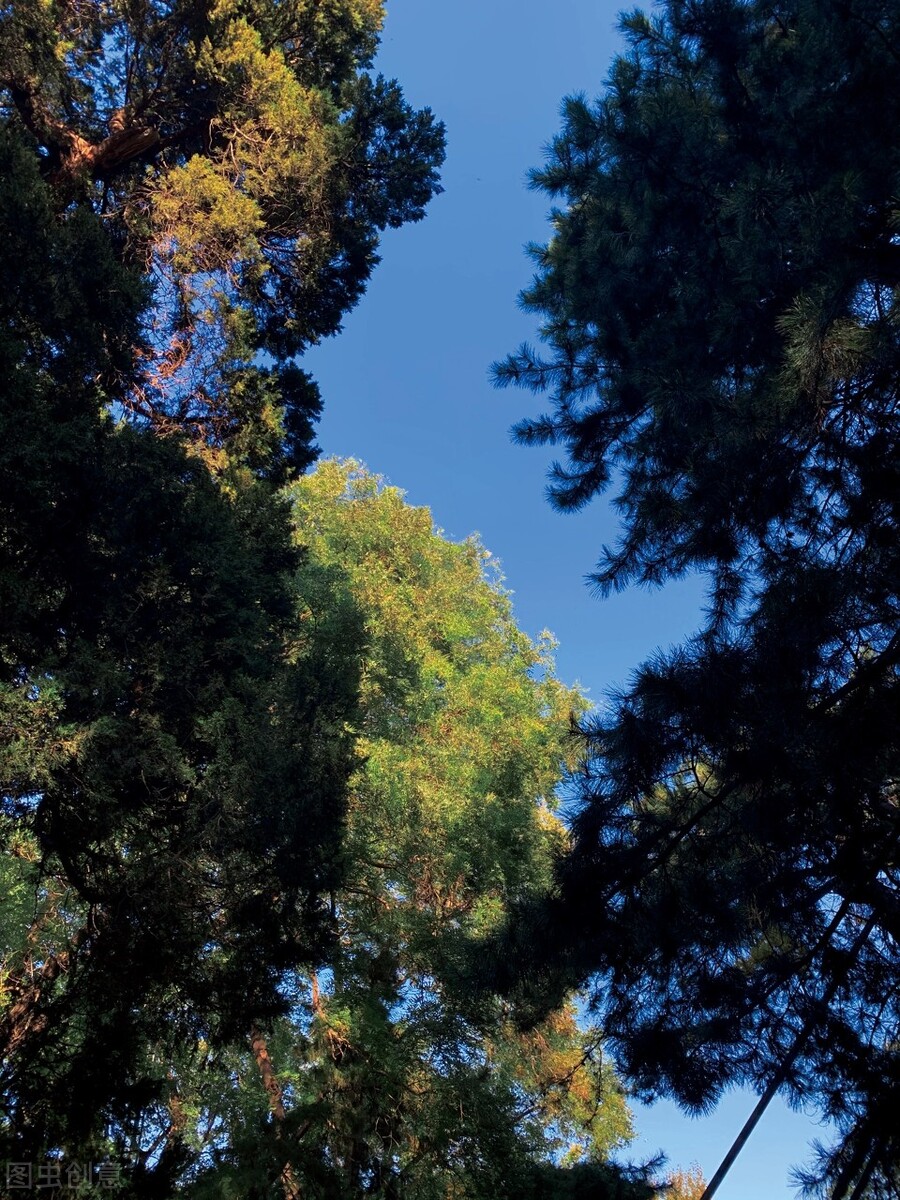 己所不欲勿施于人什么意思,己所不欲勿施于人的意思是什么