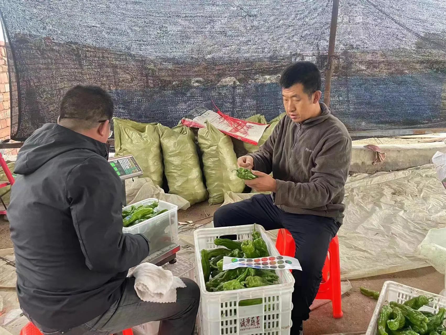 情系“三个井”只为*党**旗红