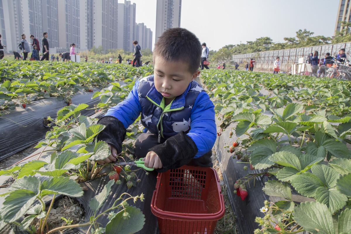 教育孩子热爱劳动的方法,培养孩子爱劳动的习惯怎么做