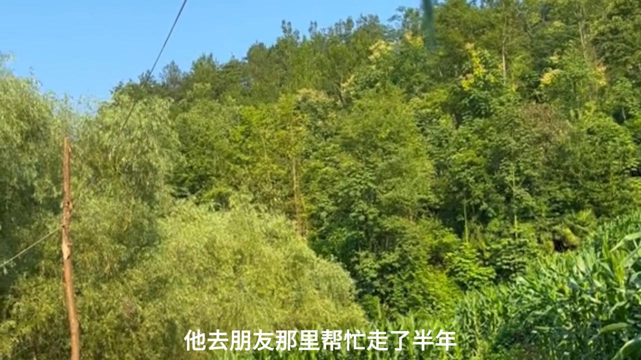 离婚后才明白前夫之前依赖家里,离婚后醒悟