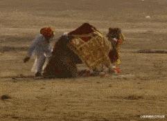 爆笑名场面动图,爆笑动图笑话大全