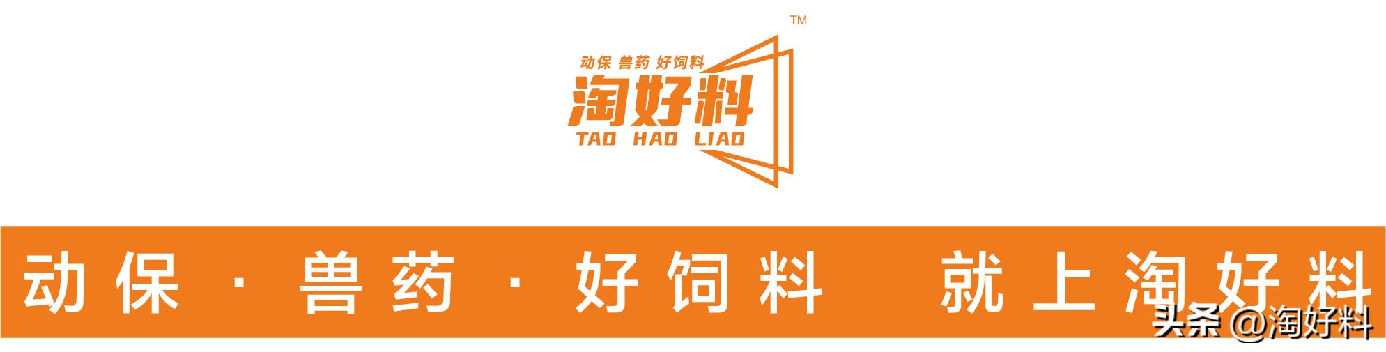 合作养殖鸡骗局,合作养殖鸡苗有上当受骗的吗