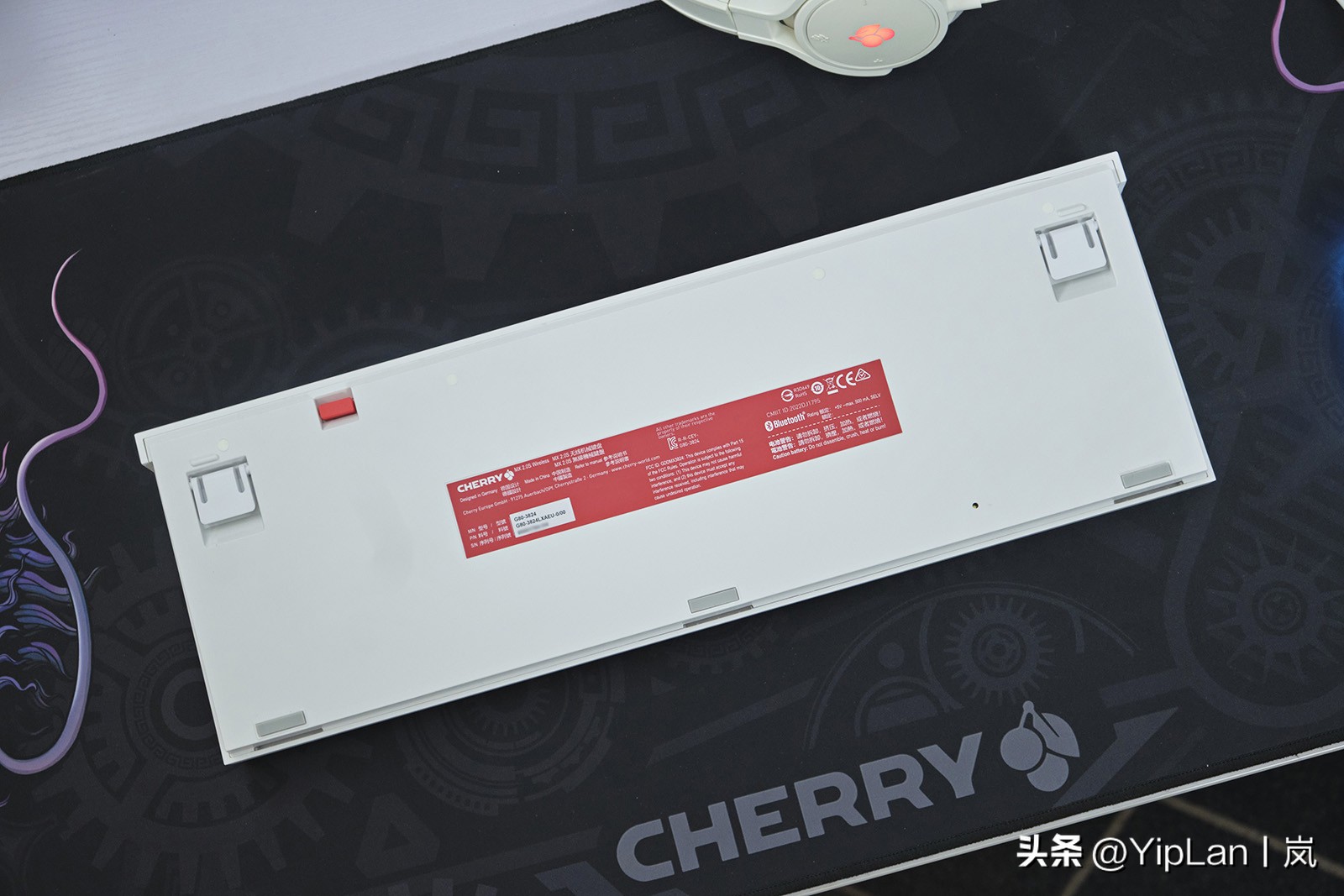 cherry澶栬鎺ㄨ崘,cherry澶栬鍜嬫牱