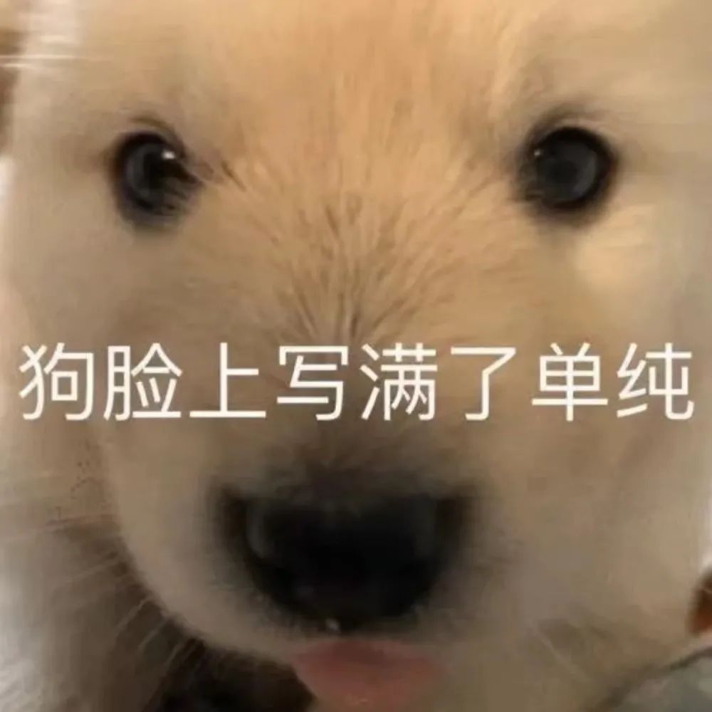 “男友花8150买包包，拆开后...”奢侈品不骗穷人！