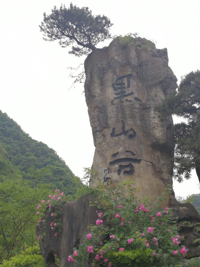 避暑胜地重庆万盛黑山谷,重庆万盛避暑胜地选哪家