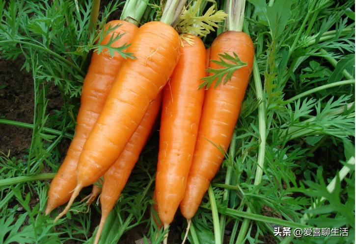 熬夜吃什么水果可以缓解眼睛干涩,专业保护眼睛干涩的神奇食物