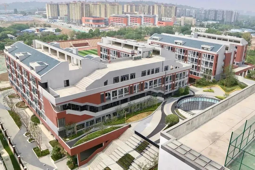 名校名企联手打造区域教育新高地,打造比肩东西海的教育强区