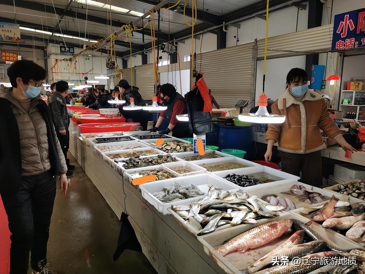 锦州哪的海鲜便宜又实惠,锦州便宜的海鲜市场