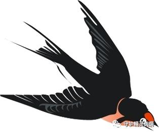 守护精灵每周防范传销舆情通报（2022年8月22日至8月28日）