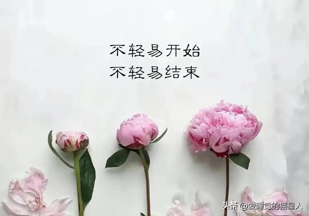 真正爱上一个人是从怕失去开始的,我不会爱上任何人因为我害怕失去