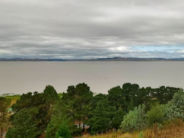 澳洲最不寻常的湖艾尔湖你见过吗,澳大利亚乔治湖