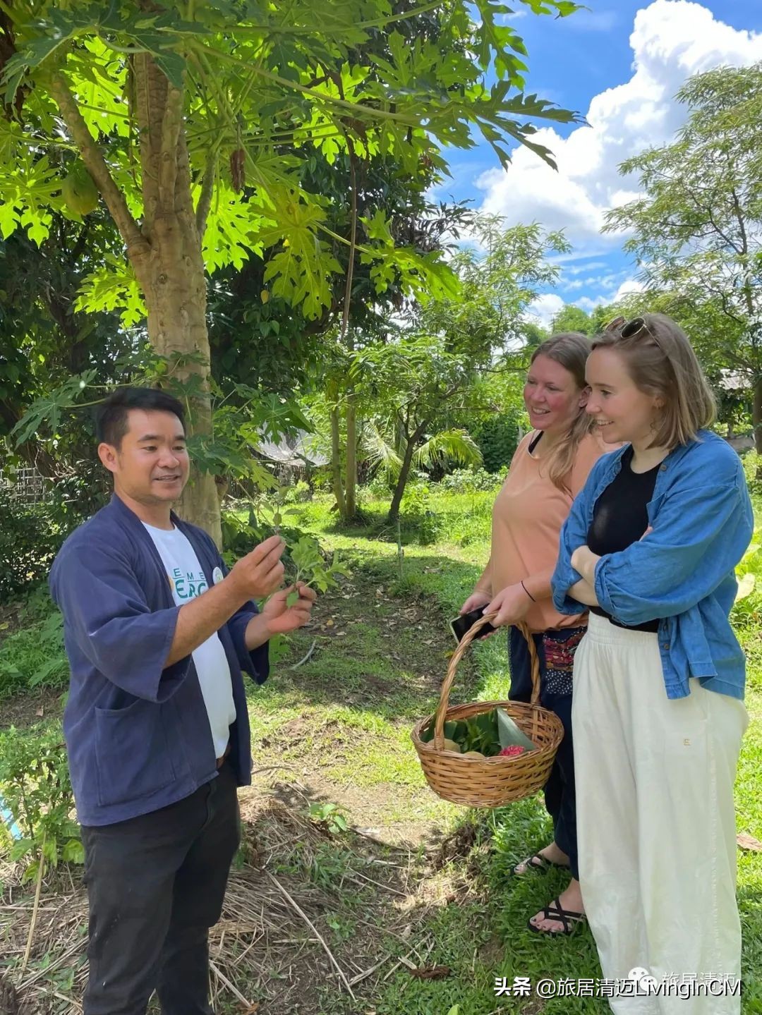泰国清迈农场美食,清迈美食攻略必吃水果