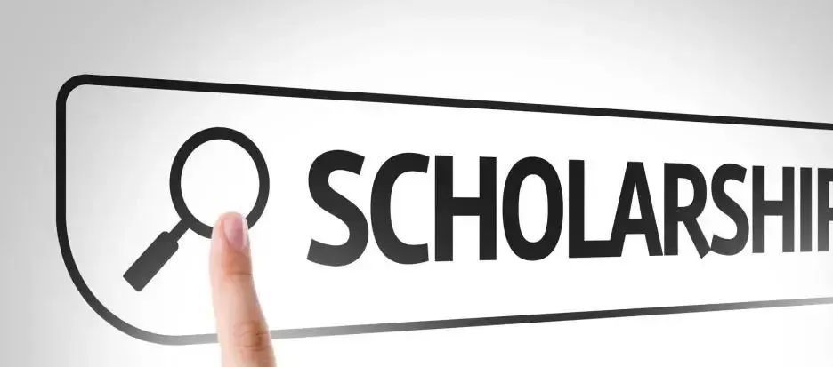 荷兰顶尖名校,荷兰顶级名校