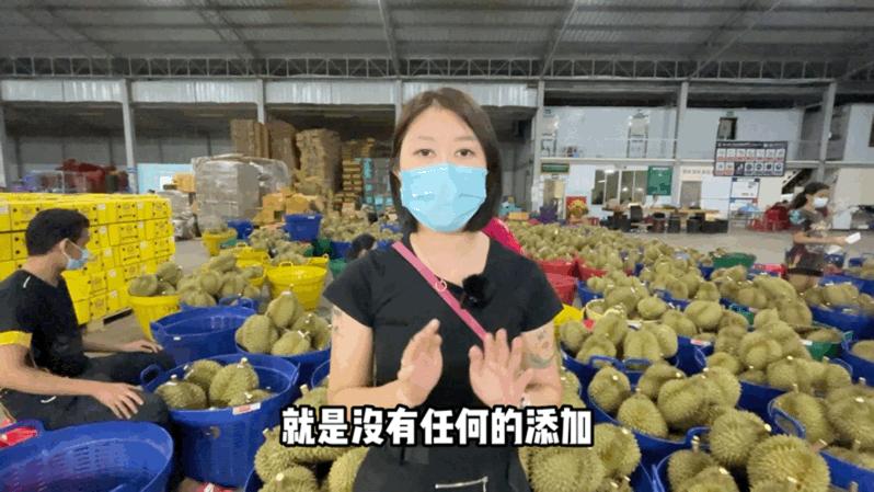 真的榴莲自由了！在泰国榴莲工厂干饭，幸福的泪水从嘴角流下来
