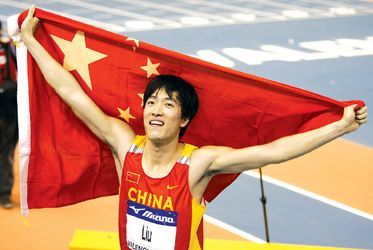 体坛刘翔排名,刘翔十个最好成绩