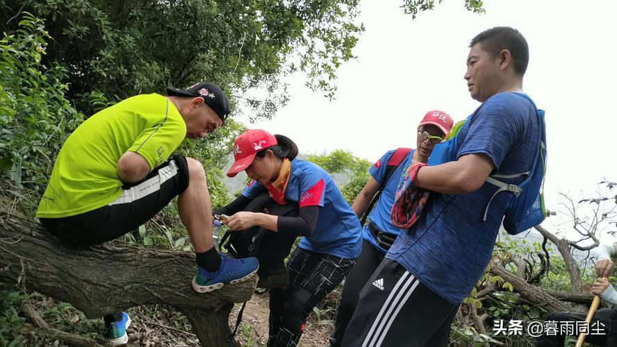 野外旅游怎么防蛇咬伤别人,野外防被蛇咬带什么药可保命