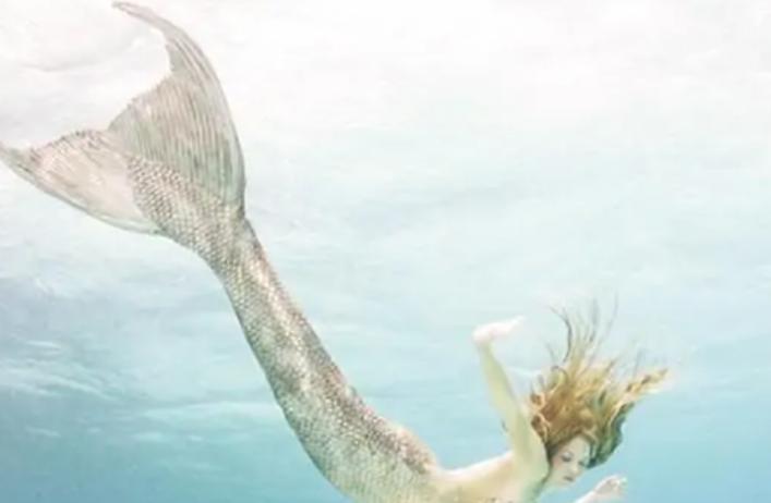 渔民一网捞1500多斤大黄鱼,渔民捞满一网鱼视频