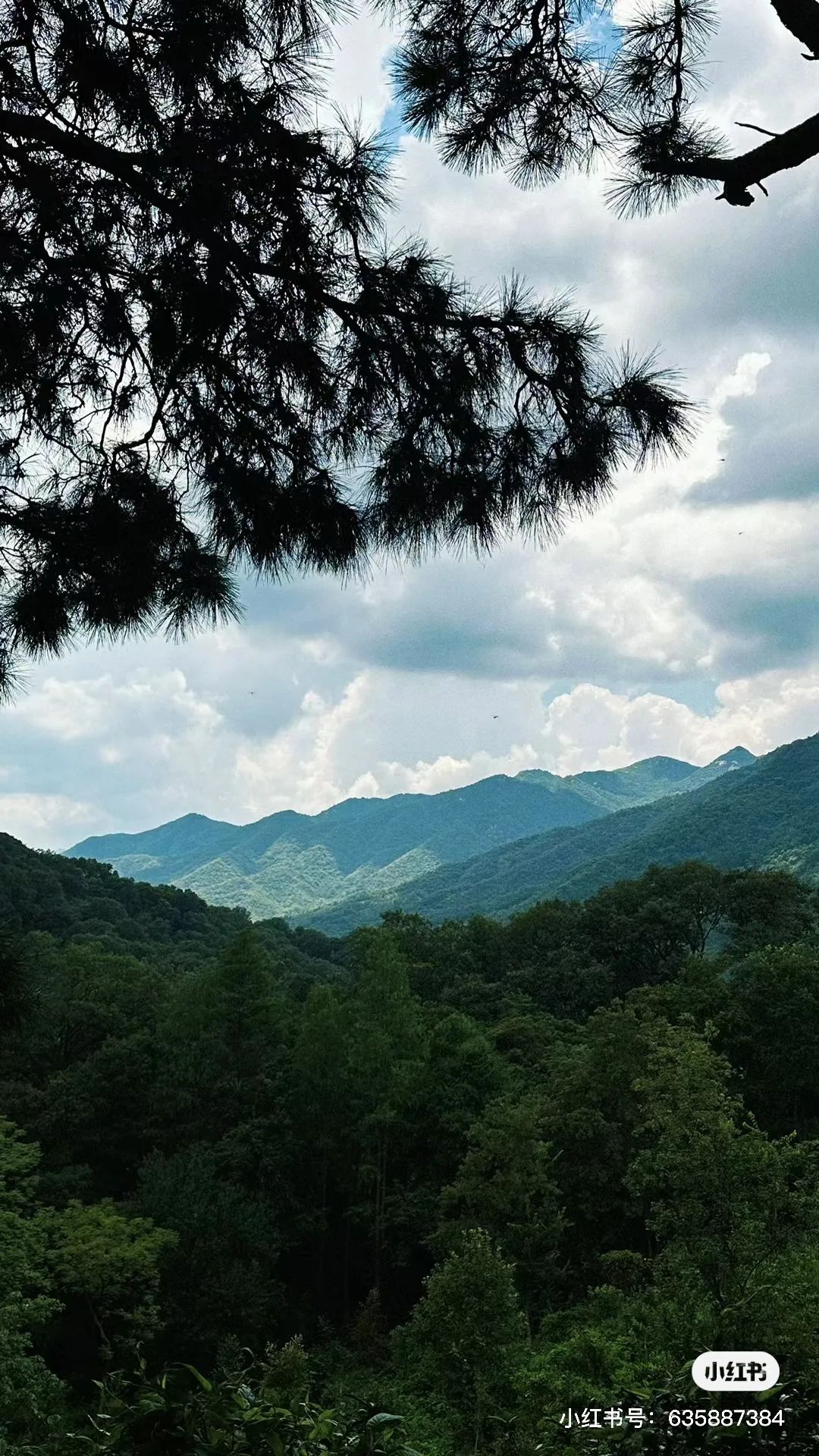 信阳南湾湖一日游详细攻略,信阳三日游攻略路线