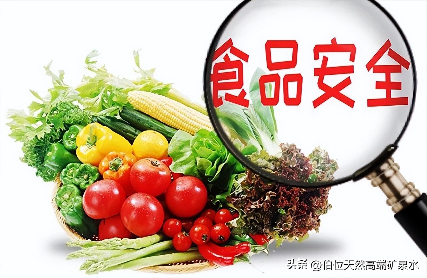 如何经营好水站,开一家水站需要什么