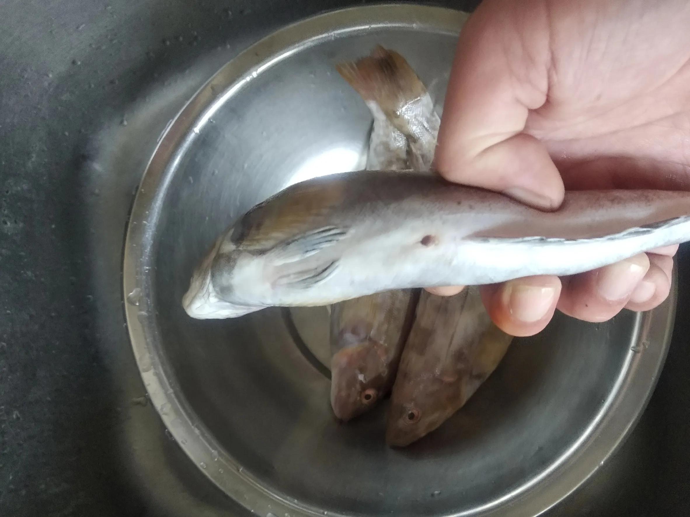 娴烽矞榛戝箷鎻,娴烽矞榛戝箷