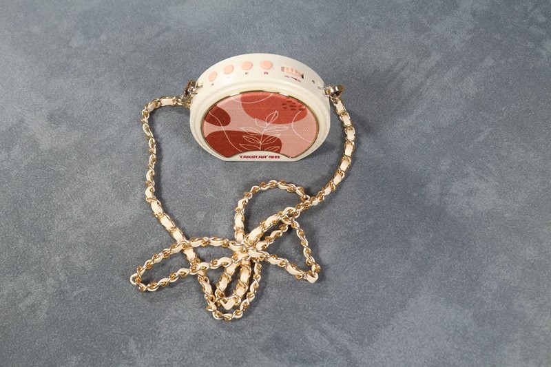 得胜扩音器e2,得胜e20扩音器如何连接手机