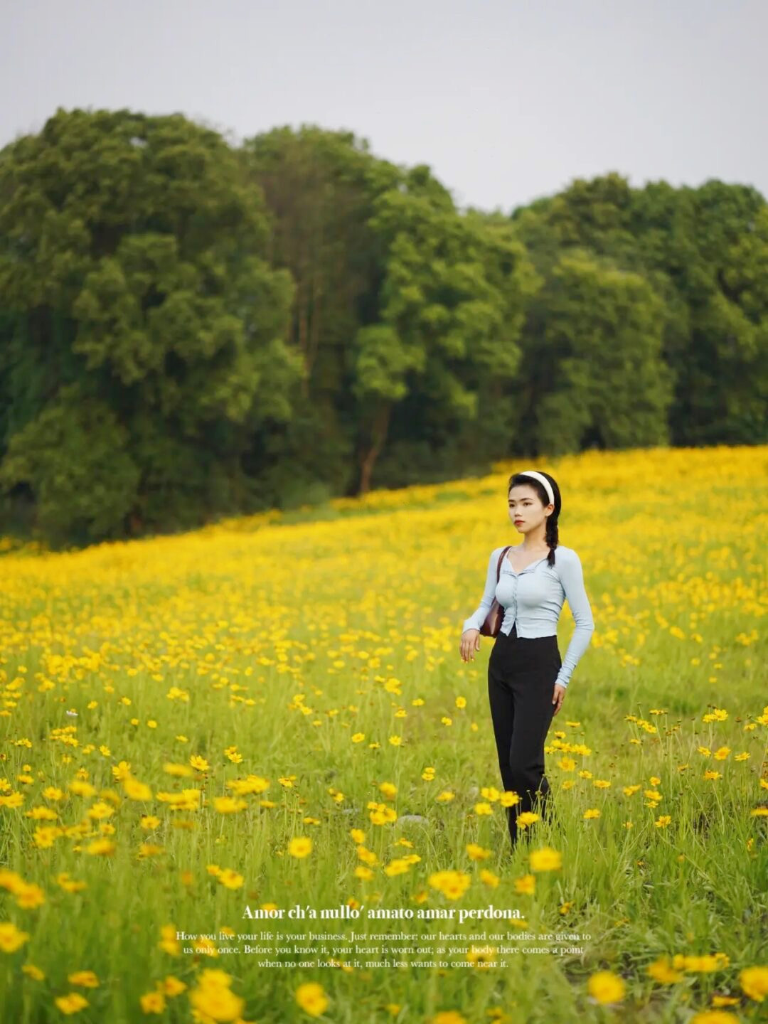 金鸡菊花海旅游攻略,金鸡菊花海美景