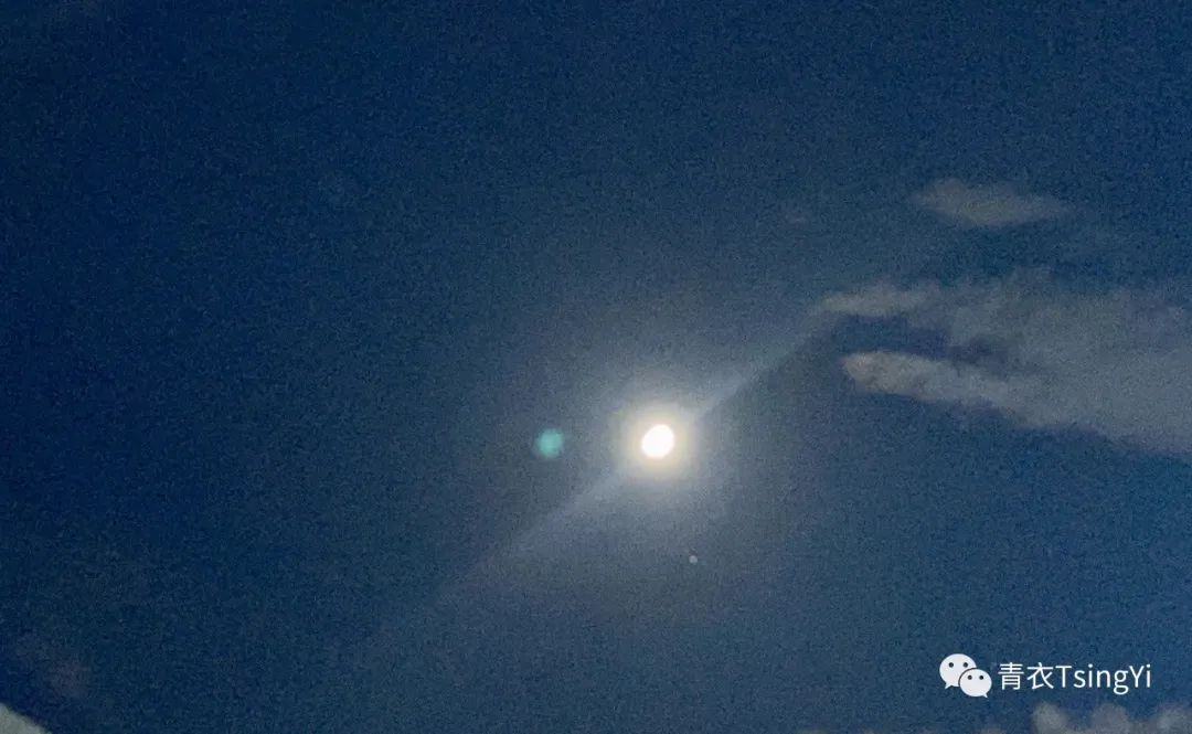 当狮子遇上水瓶,当水瓶和狮子碰在一起会怎么样